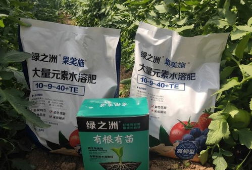 蛋价 羊价 麦价 化肥价格迎来 3跌1涨 ,好消息来了